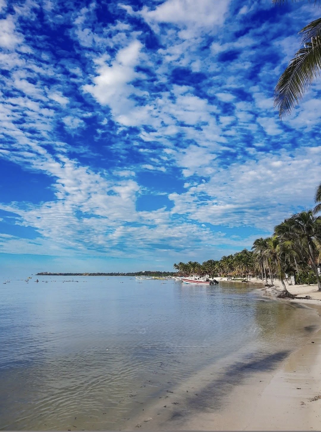 Akumal Bay at sunrise — fishing boats at anchor, palm trees reflected in calm morning water
