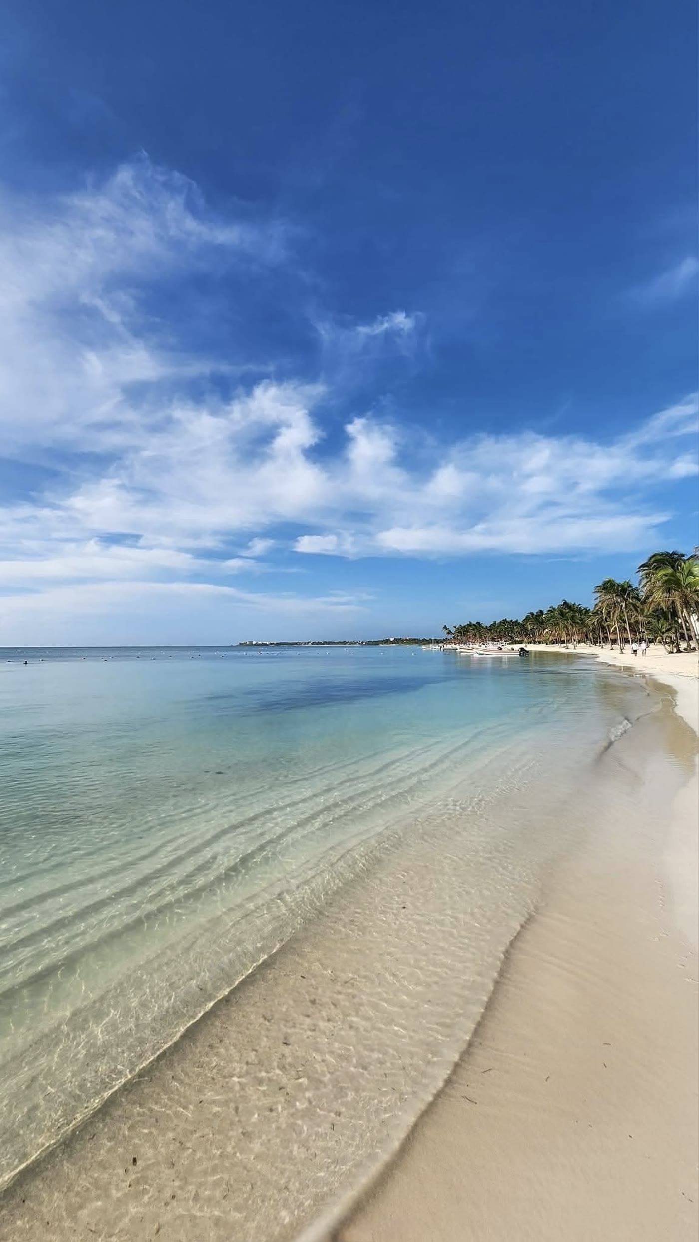Panoramic view of Akumal Bay beach — white sand, turquoise Caribbean water, palm trees
