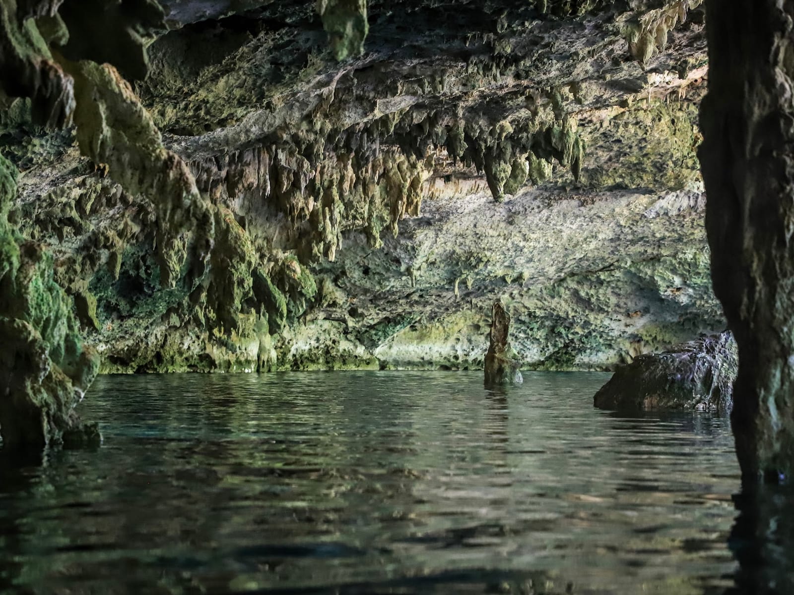 Estalactitas cubiertas de verde reflejadas en el agua quieta de las cavernas de Dos Ojos
