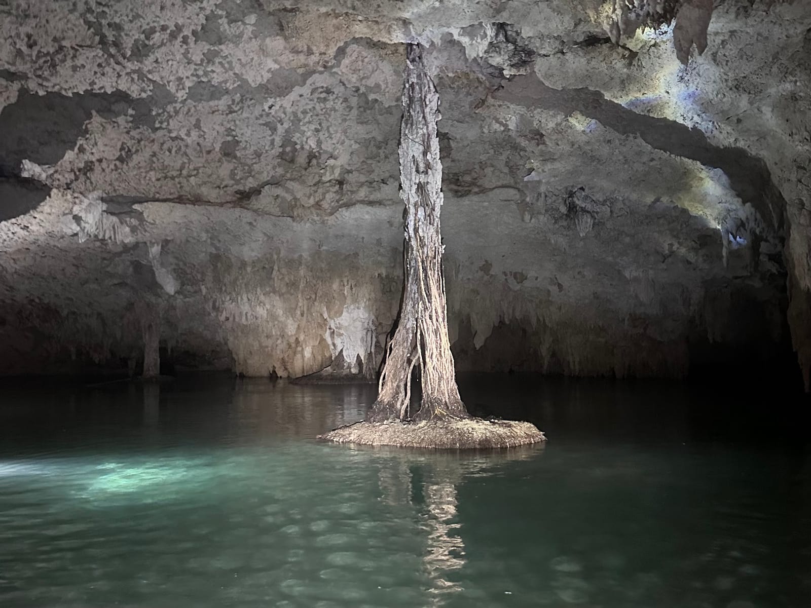 Baumwurzeln hängen von der Höhlendecke bis ins klare Wasser, Cenote Misterio Maya