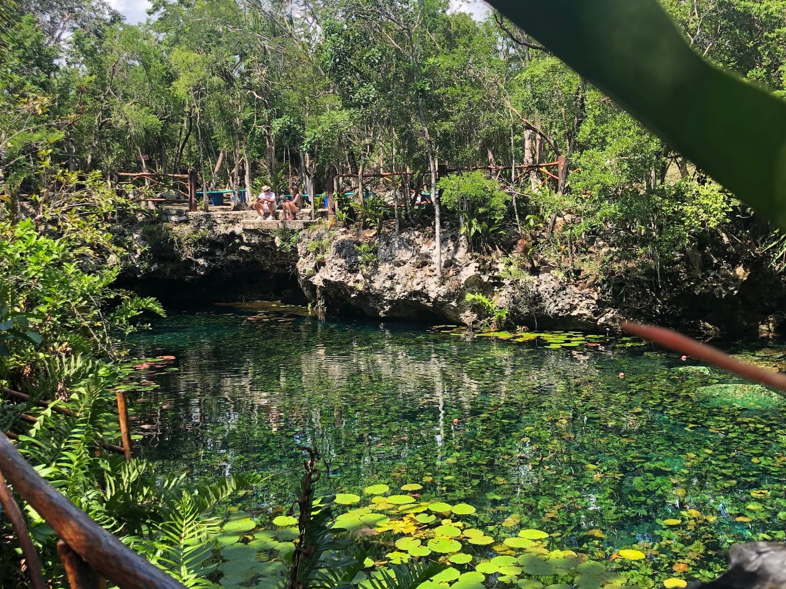 Besucher ruhen sich am Felsrand des Cenote Nicte-Ha zwischen Dschungel und Seerosen aus