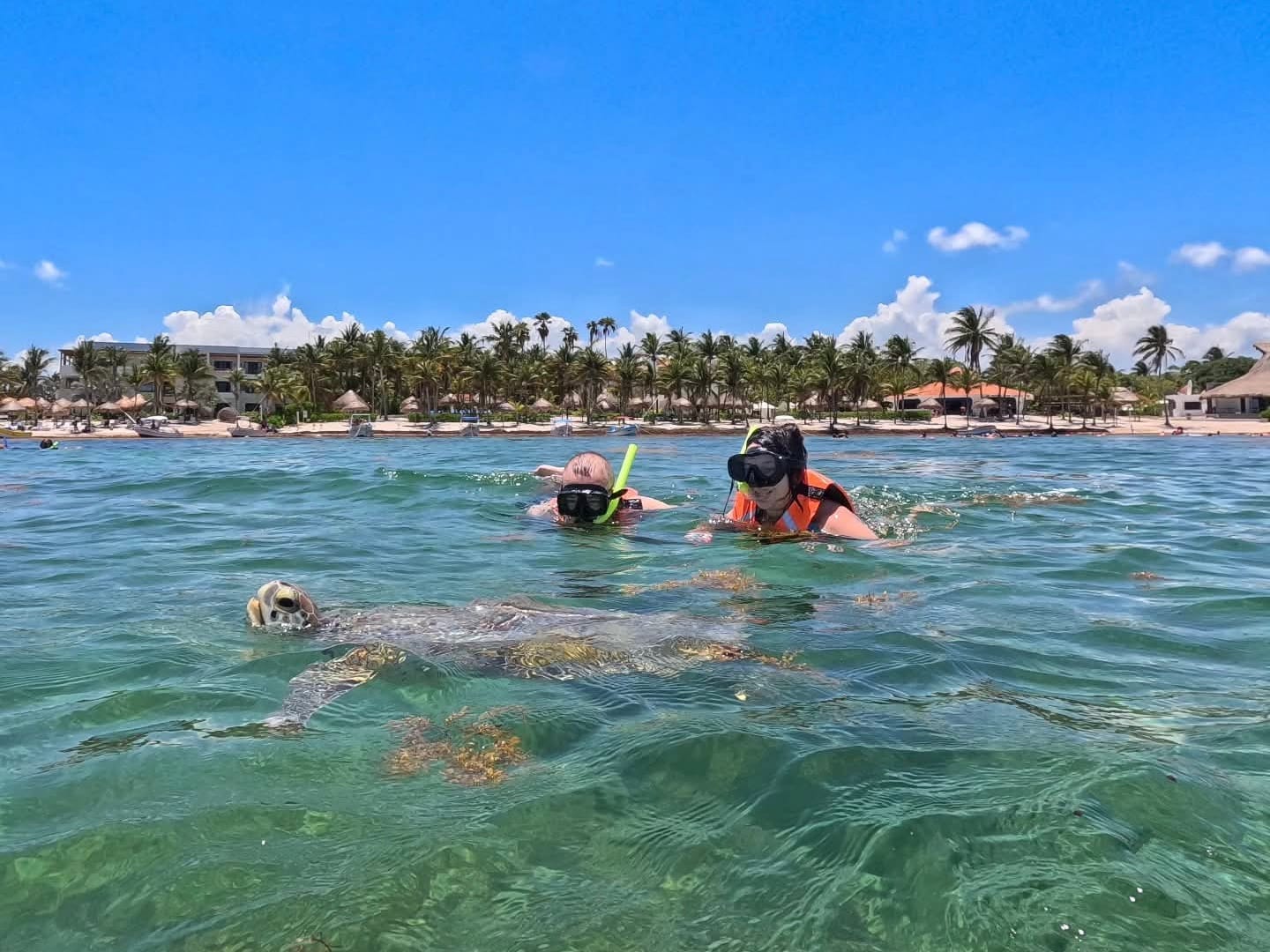 Dos snorkelistas flotan tranquilos mientras una tortuga sale a respirar cerca, Bahía de Akumal