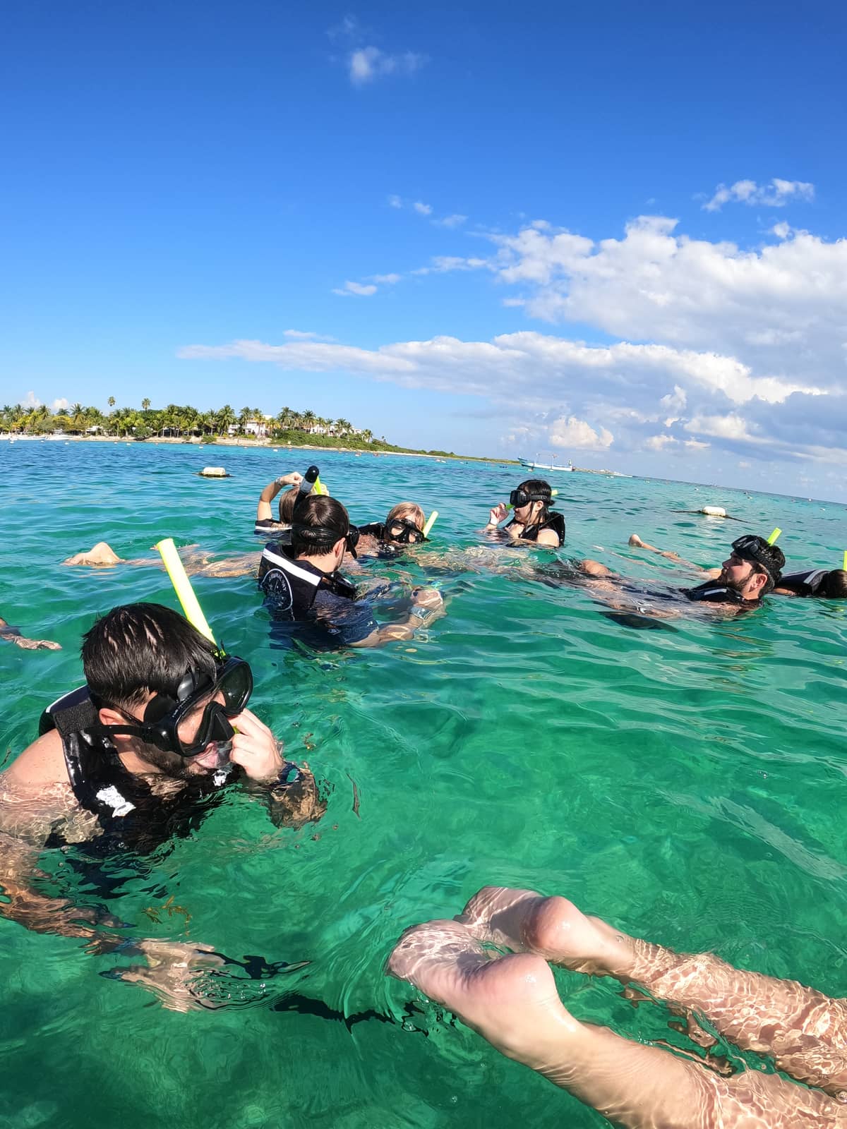 Snorkel group floating in the crystal-clear turquoise water of Akumal Bay with palm coastline behind