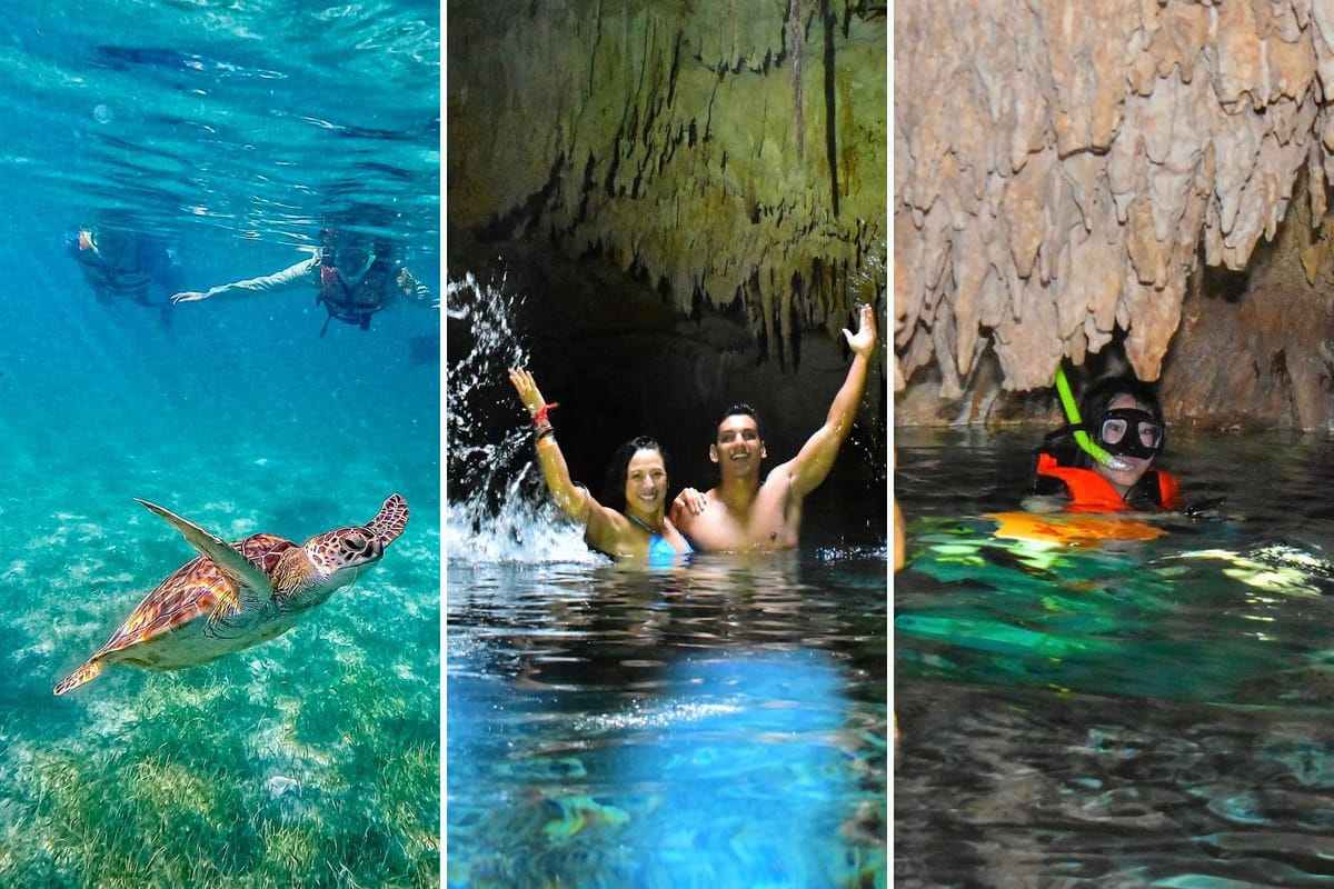 Kristallblauer Cenote Dos Ojos — Kombi Schildkröten + Cenote Dos Ojos & Fledermaus-Höhle