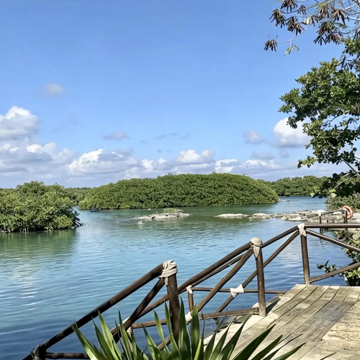 Muelle de entrada de Laguna Yalku con mangles y agua turquesa