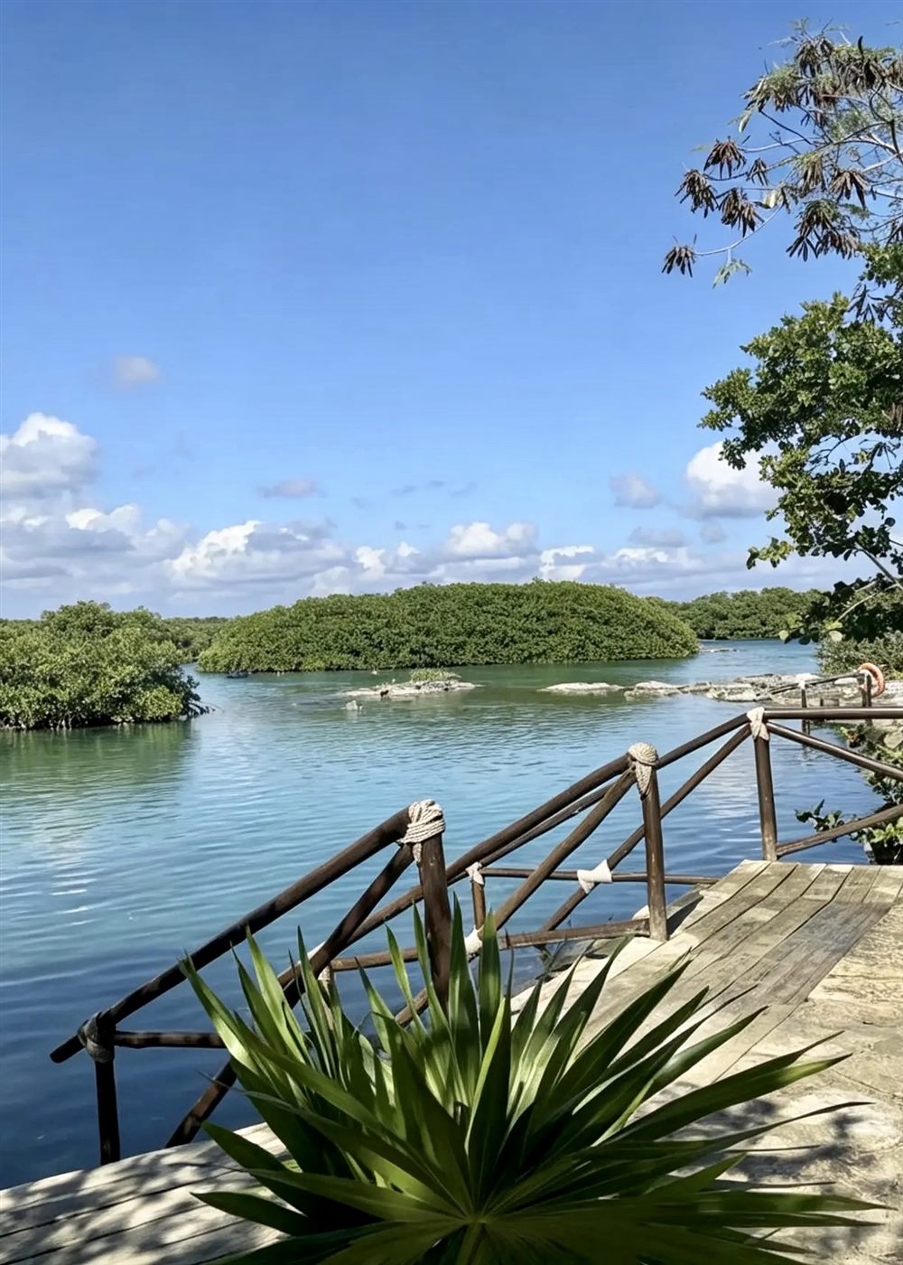 Holzsteg am Eingang der Laguna Yalku, umgeben von Mangroven und türkisfarbenem Wasser, Akumal Mexiko